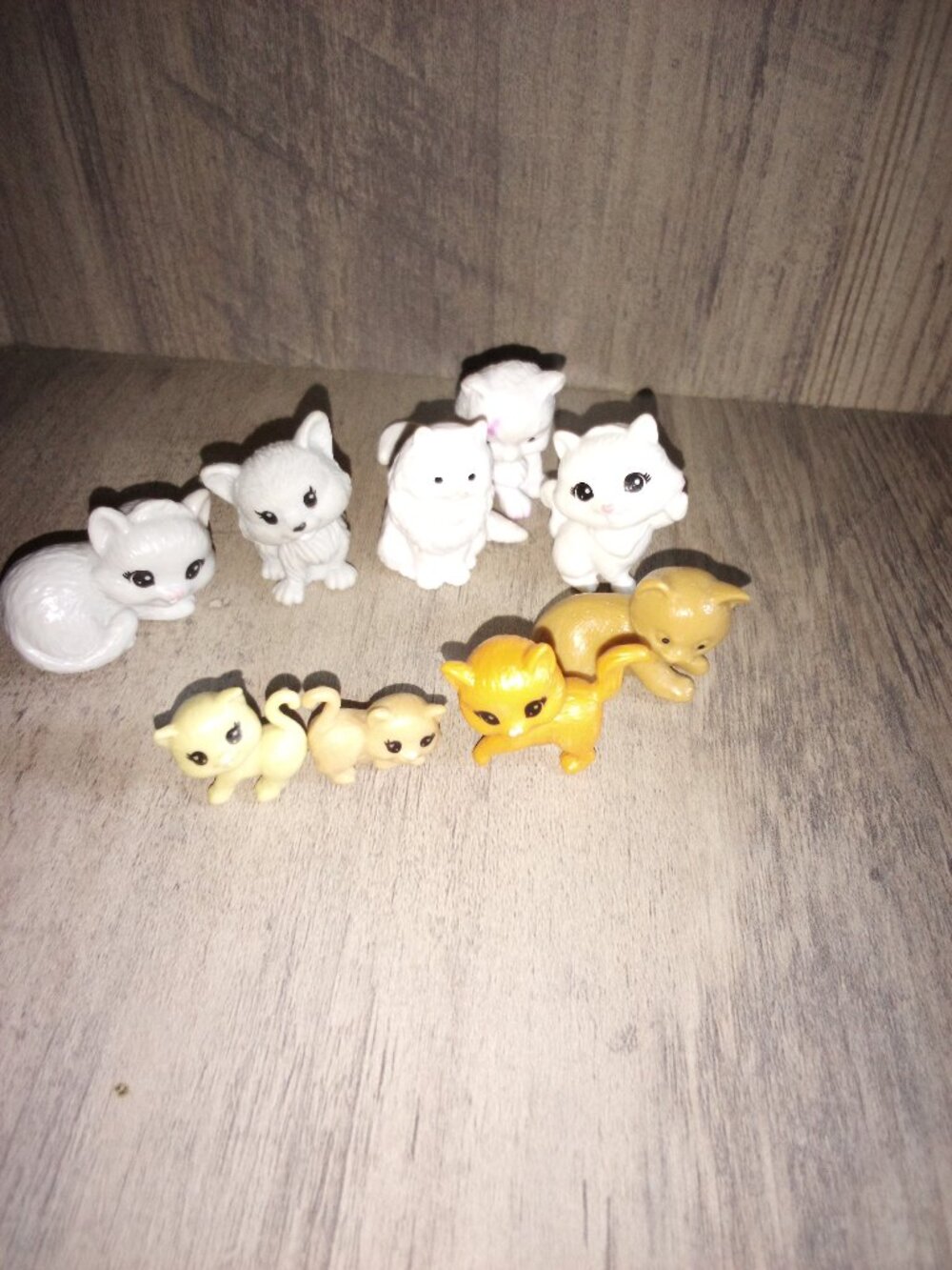 Cute cat family